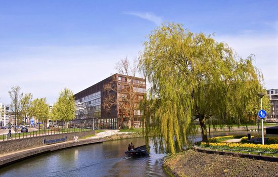 Amsterdam. Modern residential areas. Green Tree at the edge of the quay on the canal.