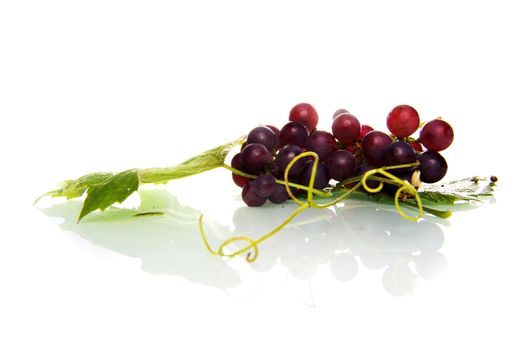 grapes and  a leaf 