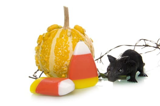 a calabash with a  candy corn