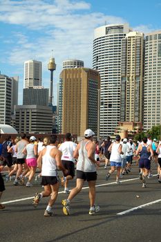Sydney marathon on harbour bridge, sydney tower in background