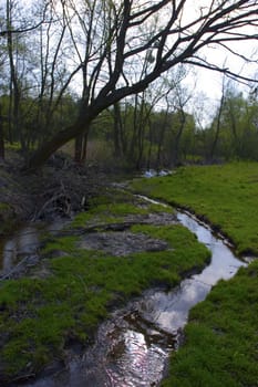 rural landscape