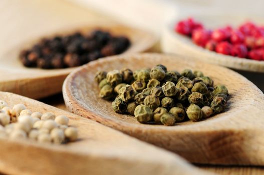 Four kinds of peppercorns in wooden cooking spoons, macro