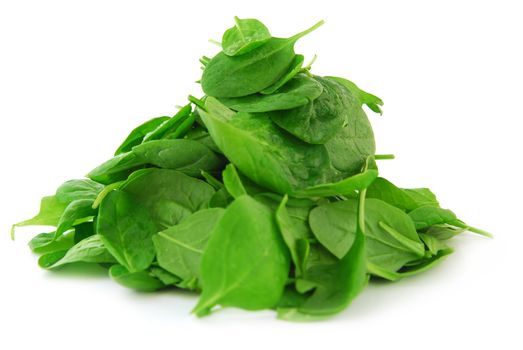 Pile of spinach isolated on white background