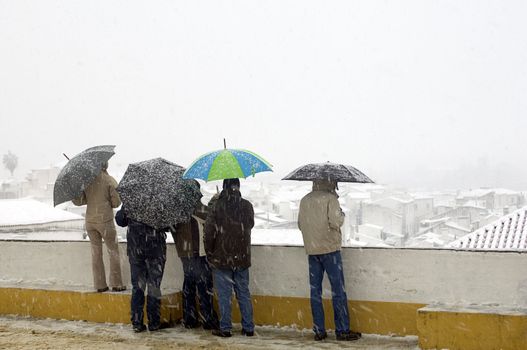 A back view of several people, standing out in the snow while carrying umbrellas. Taken in Evora, Alentejo, Portugal.