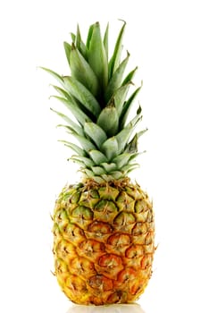 close up shot of ripe fresh pineapple over white background