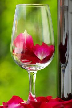 Petals of rose in a glass of red wine.