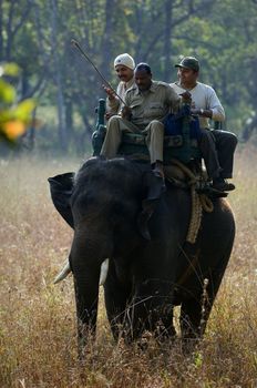 INDIA. BANDHAVGARH NATIONAL PARK. Elephant ride in Bandhavgarth National Park. Umaria district of Madhya Pradesh. India. 17 march 2010.