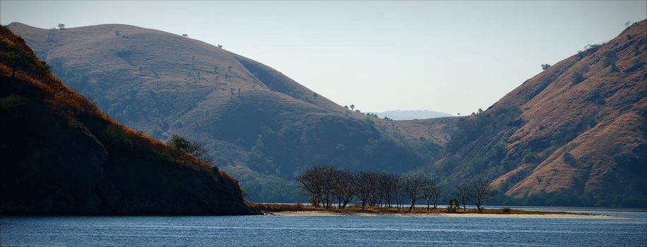 Kind early in the morning on islands from ocean. Drawing  the group of trees in the foreground has settled down.