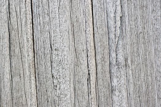 Gray old wooden texture