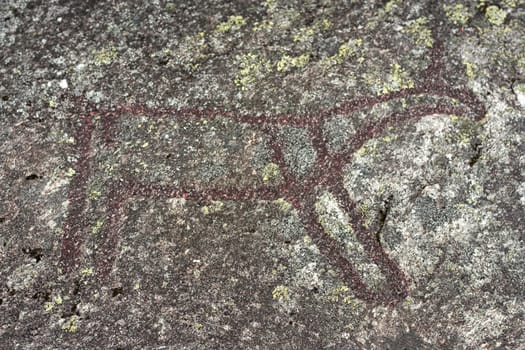 6000 years old petroglyphs from Boggestranda in Norway, showing moose and deer