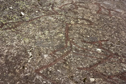 6000 years old petroglyphs from Boggestranda in Norway, showing moose and deer