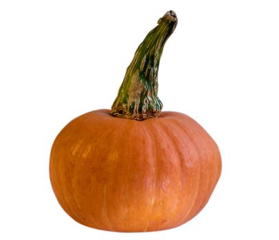 We see Small Pumpkin with isolated on white