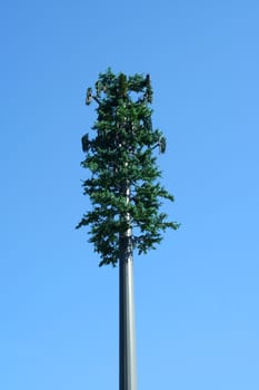 A Tree cell phone tower