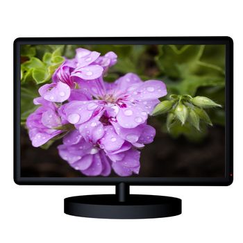 3D render of a tv with flower on the screen