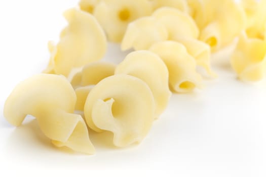 Gigli pasta on white background