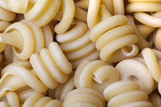 Dried trottole pasta  filling full frame.