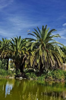 trees, clouds, landscape, herbs, picture, portugal, nature