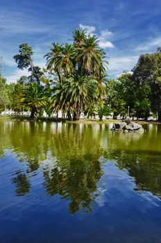 trees, clouds, landscape, herbs, picture, portugal, nature