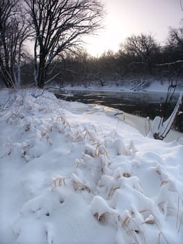 The sun rises over fresh snowfall at Blackhawk Springs Forest Preserve in northern Illinois.