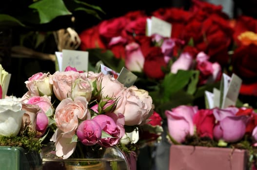 Roses on a florist stall