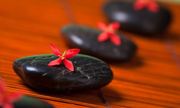 Health spa & massage still life: Black hot rocks with red flowers