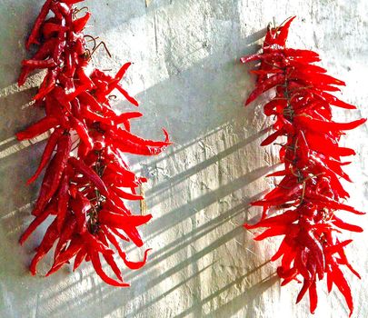 chilies drying at a wall