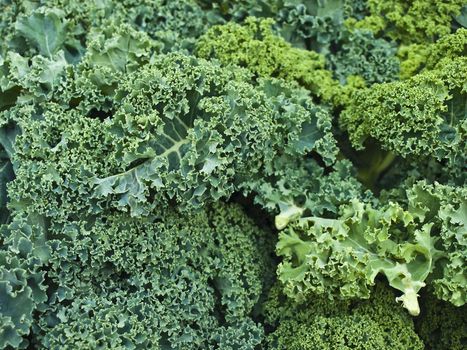 green kale at a farmer market