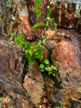 ordinary stones, which can be seen everywhere