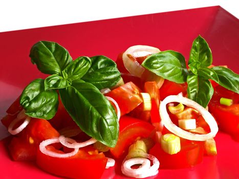 tomato salad with onions and basil