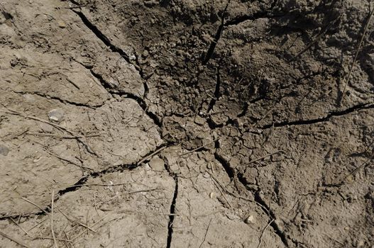 Dry soil with many cracks