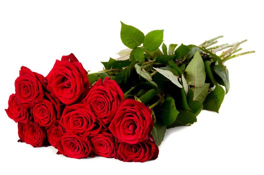 Bouquet of red roses taken on a white background