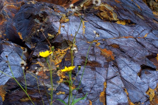 ordinary stones, which can be seen everywhere