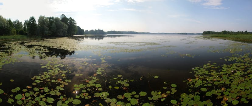 Beutyful lakes and forests of Uusimaa region in Finland close to Mantsala. There are wight water lilies in water surface decorated also with green leavs and sky reflexion. Rush and other water plants and forest are at the back ground.