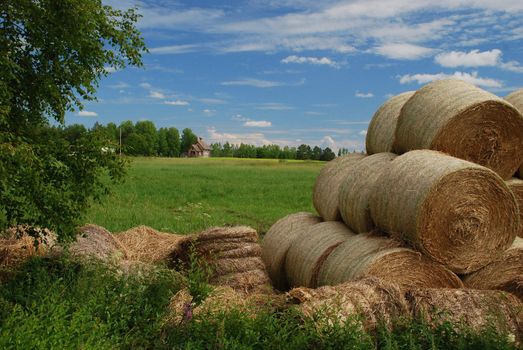 Meadows of Eastern Finland in Northern Savonia region, with Lonely ortodox wooden church, dried packed hay is at foreground