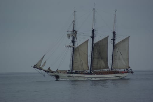 Tall ship sailing