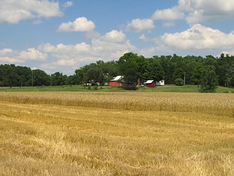 A photograph of farmland in the United States.