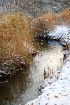 snowy landscape