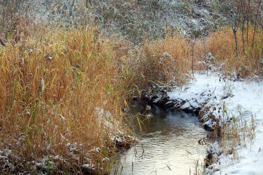 snowy landscape