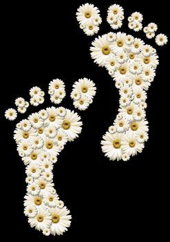 Two human footprints formed by many white daisies
