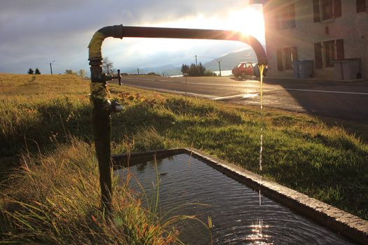 fountain and landscape