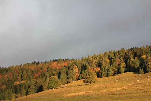landscape autumn