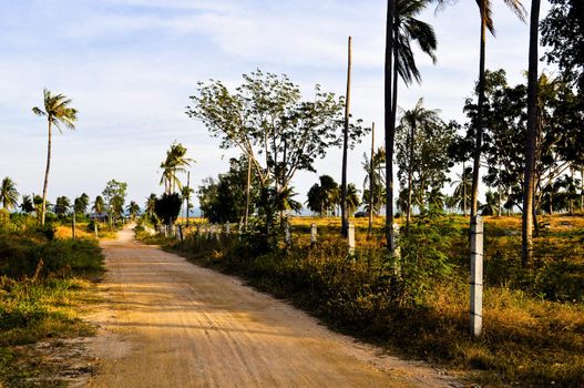 A lonely desolate dirt road leading to a private beach in Asia