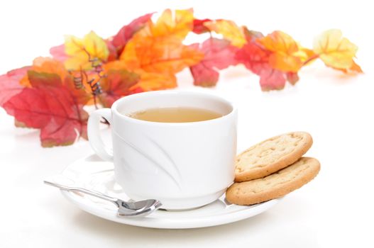 Cup of green tea with two cookies. 