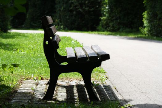 Bench in the park on sunny day