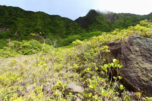 View of Mount Liamuiga from the bottom of The Crater of Saint Kitts.