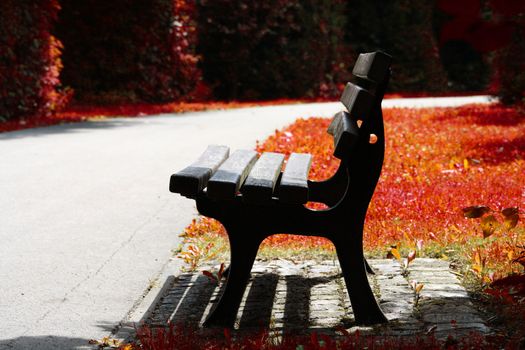 Bench in the park on sunny day