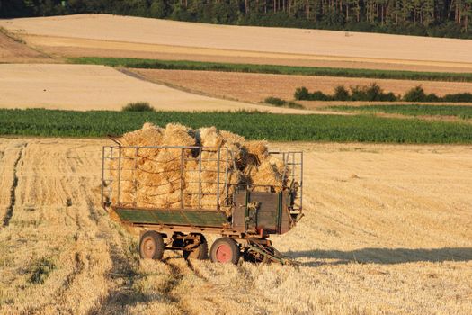 trailer with straw bales on harvested field