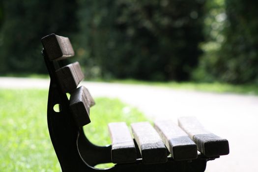 Bench in the park on sunny day