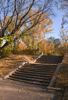 Stairs in a park in the fall. Falling leaves cover the ground. Against the blue sky. Autumn landscape