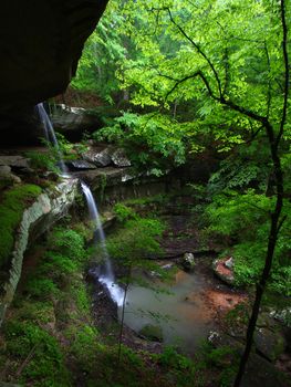 Waterfall flows into a deep canyon in the woodland of northern Alabama.